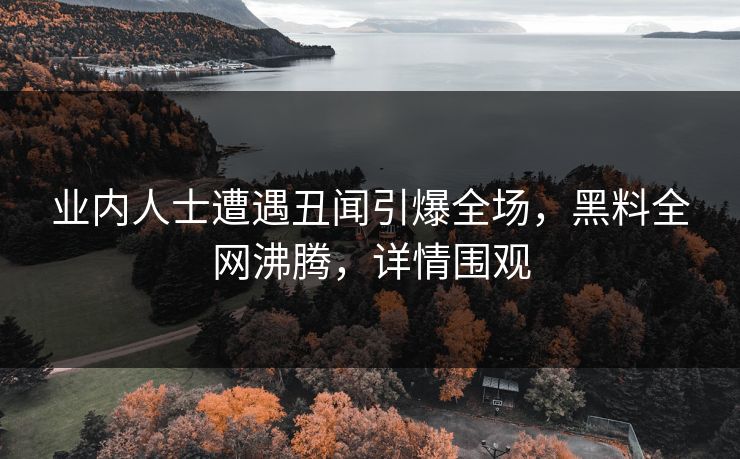 业内人士遭遇丑闻引爆全场，黑料全网沸腾，详情围观