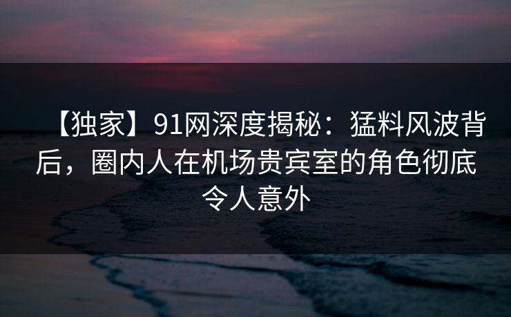 【独家】91网深度揭秘：猛料风波背后，圈内人在机场贵宾室的角色彻底令人意外  第1张